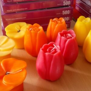 Tulppaanikynttilä, Maija Peltonen