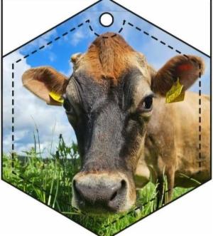 Pehmoheijastin - Image 3